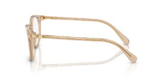 Swarovski Eyeglasses SK2002F