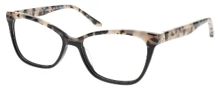 Black Tortoise