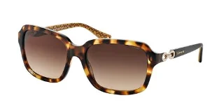 Coach Sunglasses HC8104