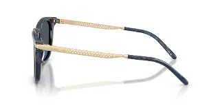 Ralph Lauren Sunglasses RL8233U