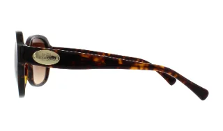 Coach Sunglasses HC8150 L133