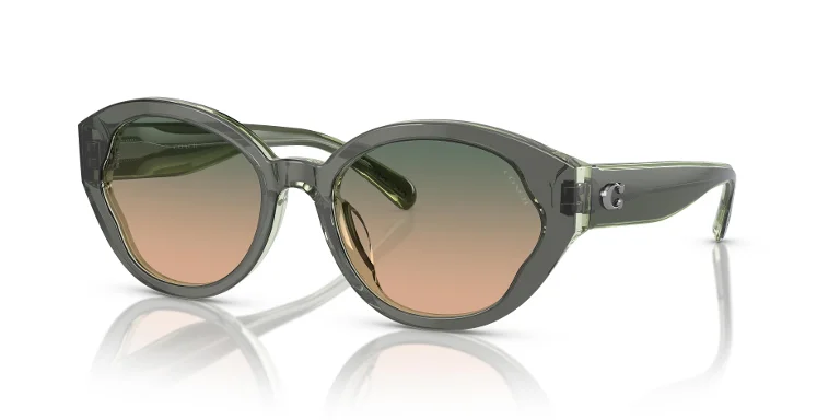 Coach Sunglasses HC8364U