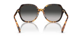 Coach Sunglasses HC8377U