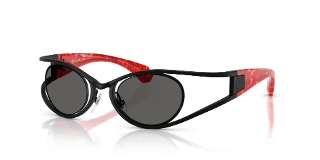 Alain Mikli Sunglasses A04501T