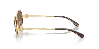 Tory Burch Sunglasses TY6113