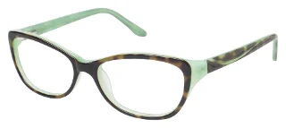 TOR Tortoise/Green