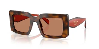 01K90Q Juniper Tortoise/Cotto