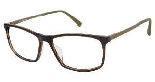 C02 Brown Horn