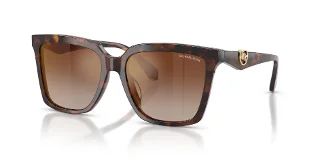 4031AO Luggage Tortoise