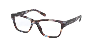 5613 Blue Tortoise