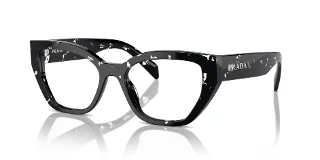 15O1O1 Black Crystal Tortoise