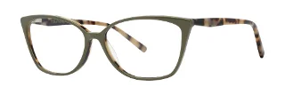 Olive Tortoise