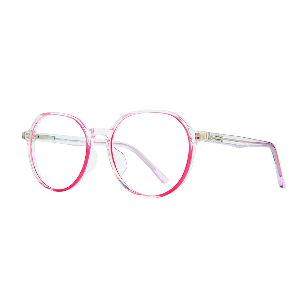 Stylewise Eyeglasses SW459