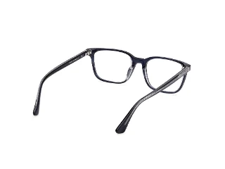 Web Eyeglasses WE5391