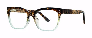 tortoise/blue