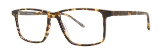 Paradigm Eyeglasses 20-11