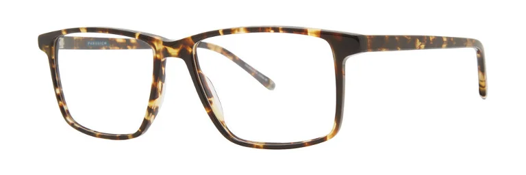 Paradigm Eyeglasses 20-11