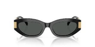 Versace Sunglasses VE4501F