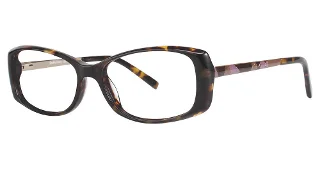 024 Tortoise