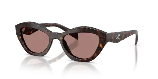 17N60B Root Tortoise