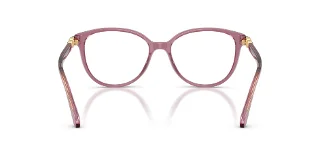 Swarovski Eyeglasses SK2070F