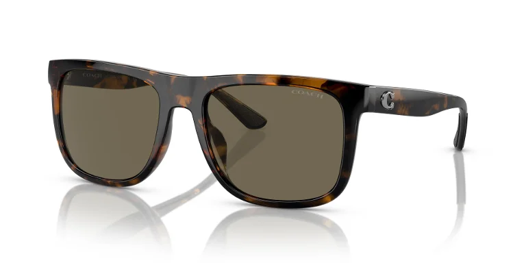 Coach Sunglasses HC8367U
