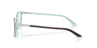 Ralph Eyeglasses RA7044