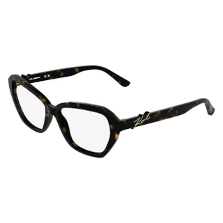 242 Dark Tortoise