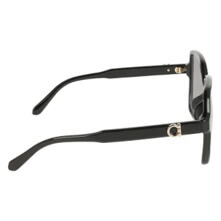 Salvatore Ferragamo Sunglasses SF2069SELB