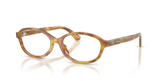 6185 Shiny Honey Tortoise