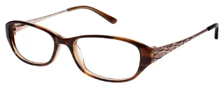 TOR Tortoise/Brown