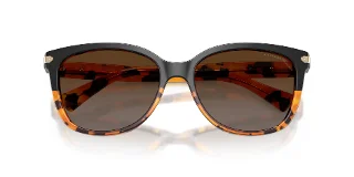 Coach Sunglasses HC8132 L109