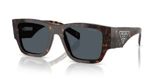 17N70B Root Tortoise