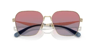 Coach Sunglasses HC7168