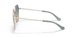 Coach Sunglasses HC7132