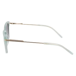 Dkny Sunglasses DK713S