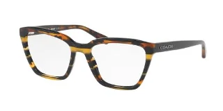 Coach Eyeglasses HC6109