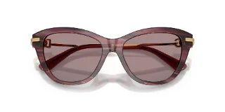Dolce & Gabbana Sunglasses DG4534