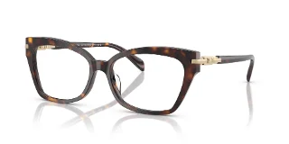 3006 Dark Tortoise