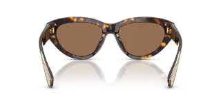 Dolce & Gabbana Sunglasses DG4558