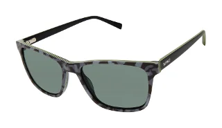 Buffalo David Bitton Sunglasses BMS009