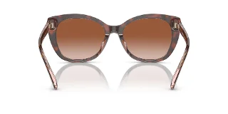 Coach Sunglasses HC8365U