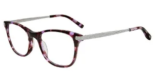 Purple Tortoise