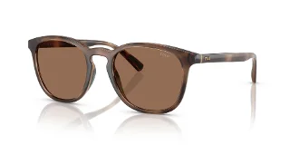 597473 Shiny Dark Havana