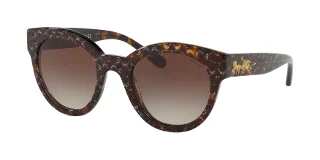 554713 Tortoise Glitter Sig C Facing