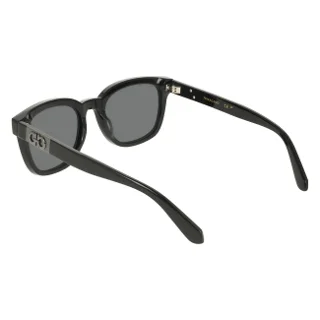 Salvatore Ferragamo Sunglasses SF2107S