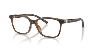 8213 Dark Havana