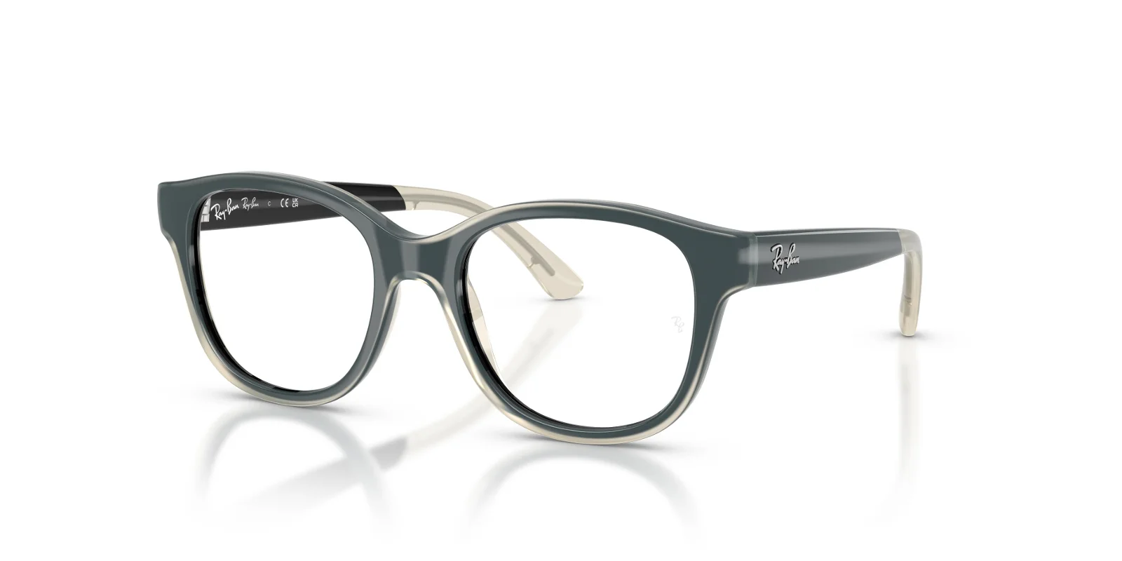 Ray Ban Eyeglasses RY1950