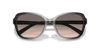 Coach Sunglasses HC8349U