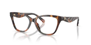 2066 Contrast Tortoise